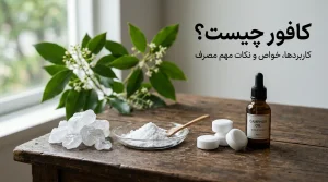کافور چیست؟ راهنمای کامل خواص، فواید، عوارض و کاربردهای کافور