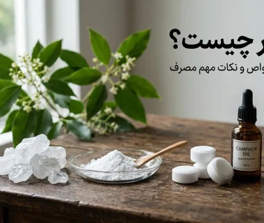 کافور چیست؟ راهنمای کامل خواص، فواید، عوارض و کاربردهای کافور
