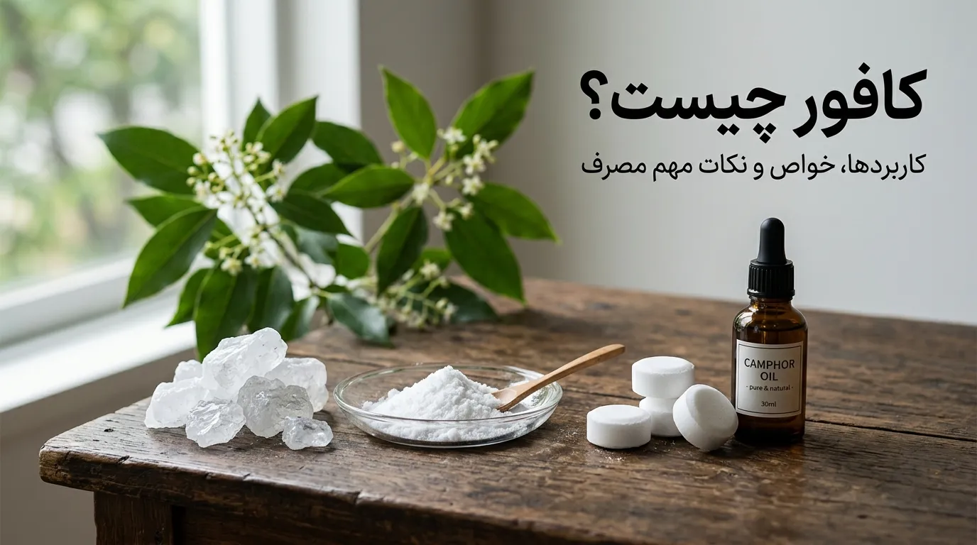 کافور چیست؟ راهنمای کامل خواص، فواید، عوارض و کاربردهای کافور
