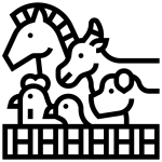 مواد اولیه دام و طیور