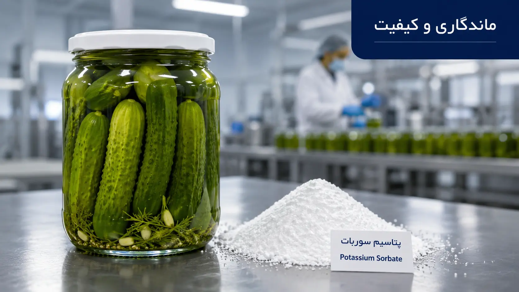Why do pickles still spoil and soften despite high salt