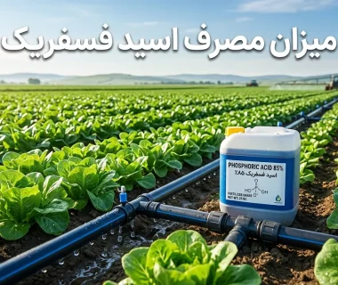 راهنمای کاربردی اسید فسفریک برای کشاورزان: مقدار مصرف، زمان مناسب و روش استفاده