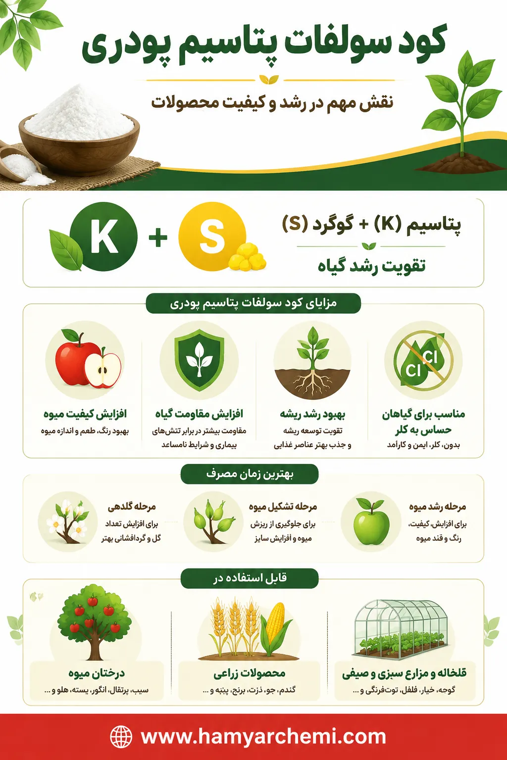 بهترین زمان مصرف کود سولفات پتاسیم پودری + روش مصرف و نکات مهم 3 زمان مصرف کود سولفات پتاسیم پودری | افزایش کیفیت محصول