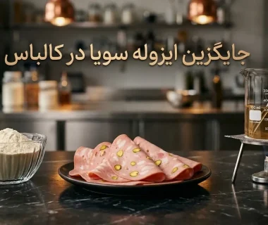 بهترین جایگزین‌های ایزوله سویا در کالباس چیست؟ معرفی ۵ جایگزین با کیفیت و اقتصادی