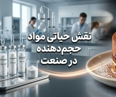 مواد حجم‌دهنده چیست؟ بررسی نقش حیاتی Bulking Agents در فرمولاسیون محصولات غذایی و دارویی