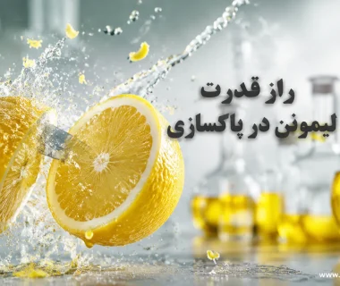 راز قدرت مرکبات: بررسی کاربرد لیمونن در شوینده‌ها، چربی‌برها و محصولات خوشبوکننده