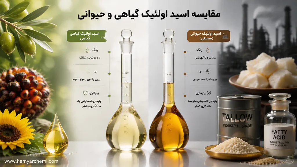 اسید اولئیک چیست؟ راهنمای کامل گریدها، کاربرد و آنالیز فنی